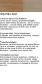 Jequitibá Rosa de 8 cm (10-29) Seca em estufa e imunizada